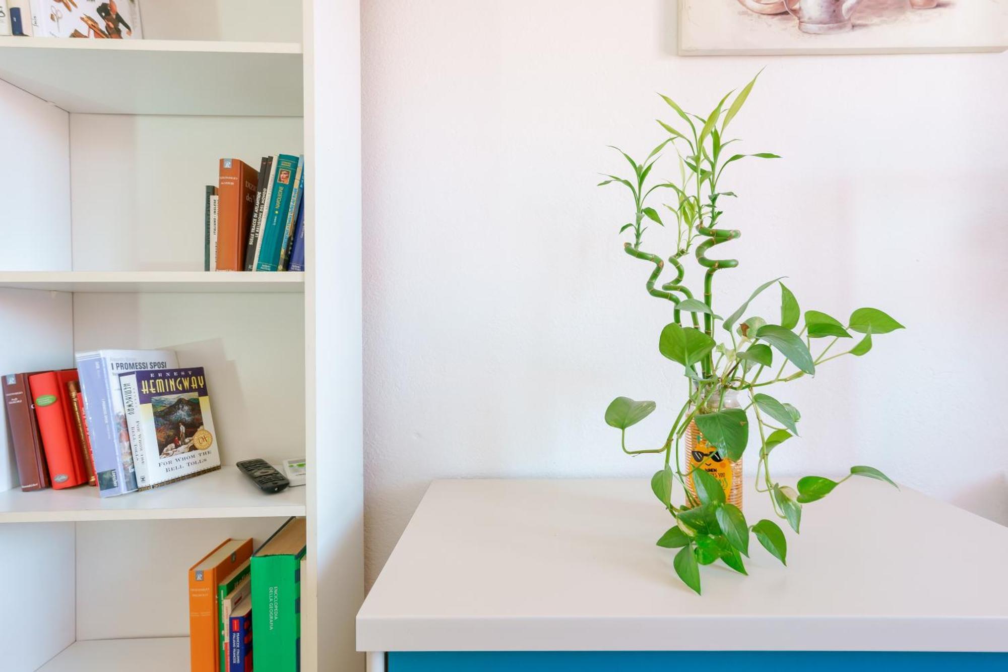 B&B Pothos - Eng Ita - Air Conditioning Wi-Fi Fridge Netflix Local Guide - Aria Condizionata, Frigo, Internet, Guida Locale Cagliari Eksteriør billede