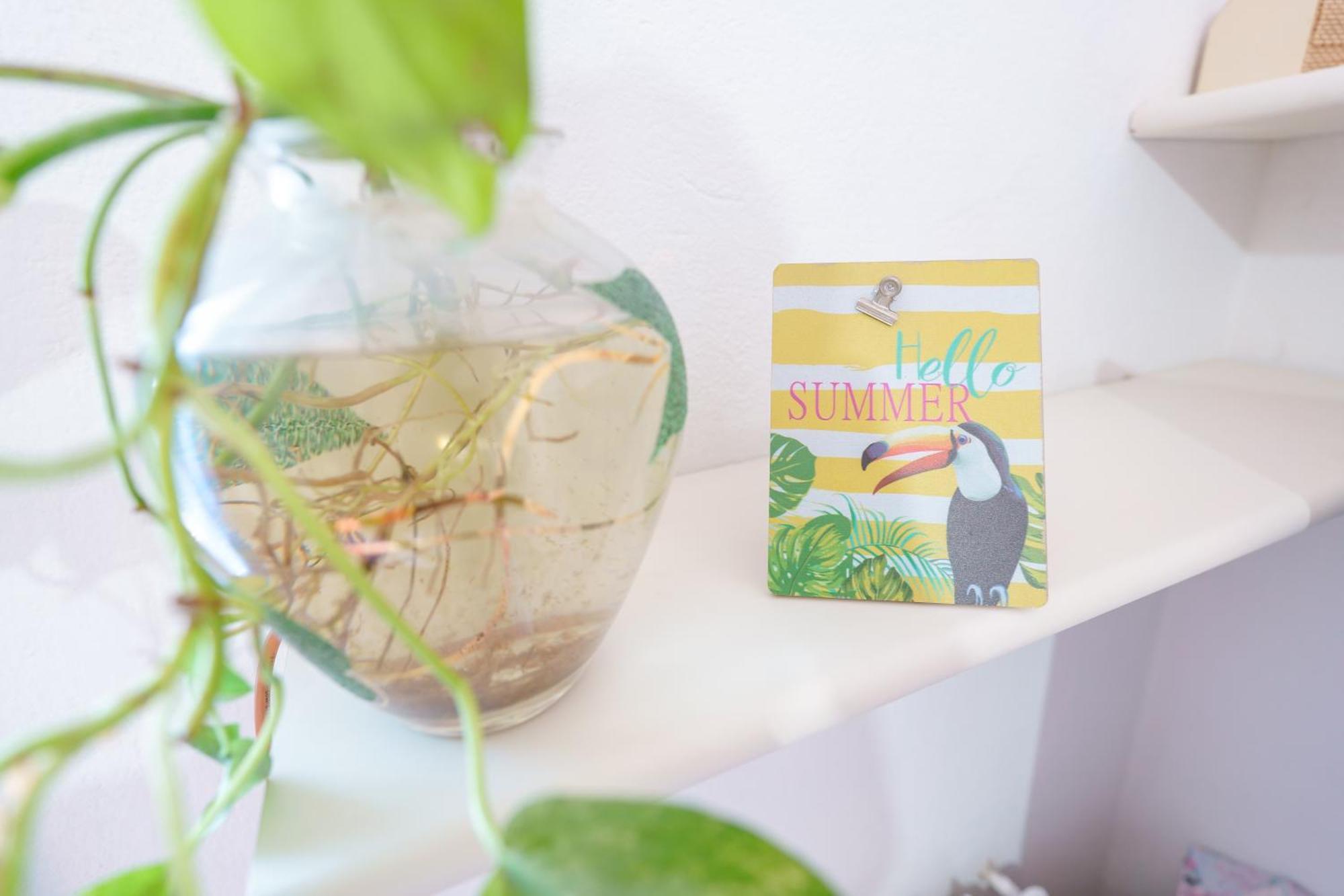 B&B Pothos - Eng Ita - Air Conditioning Wi-Fi Fridge Netflix Local Guide - Aria Condizionata, Frigo, Internet, Guida Locale Cagliari Eksteriør billede